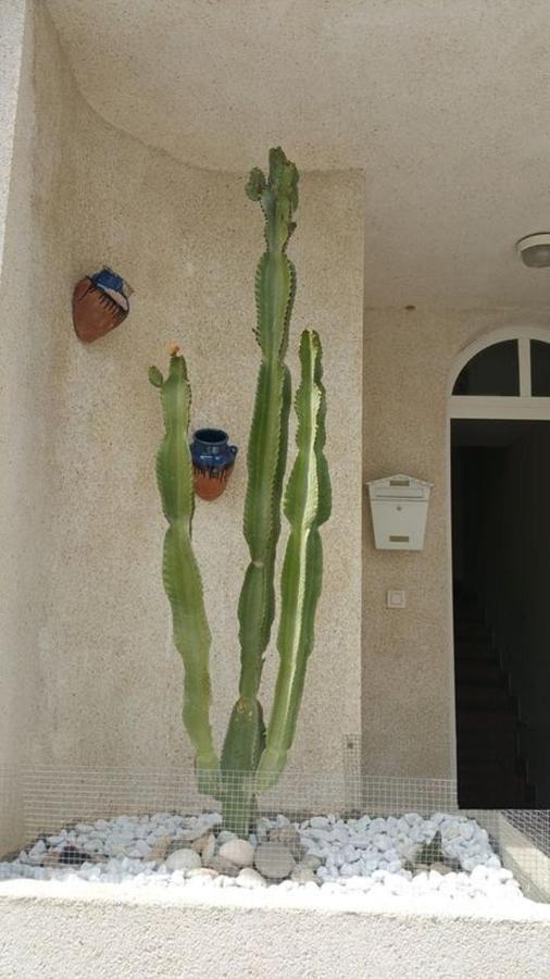 阿瓜阿马加Casa El Algarrobico别墅 外观 照片